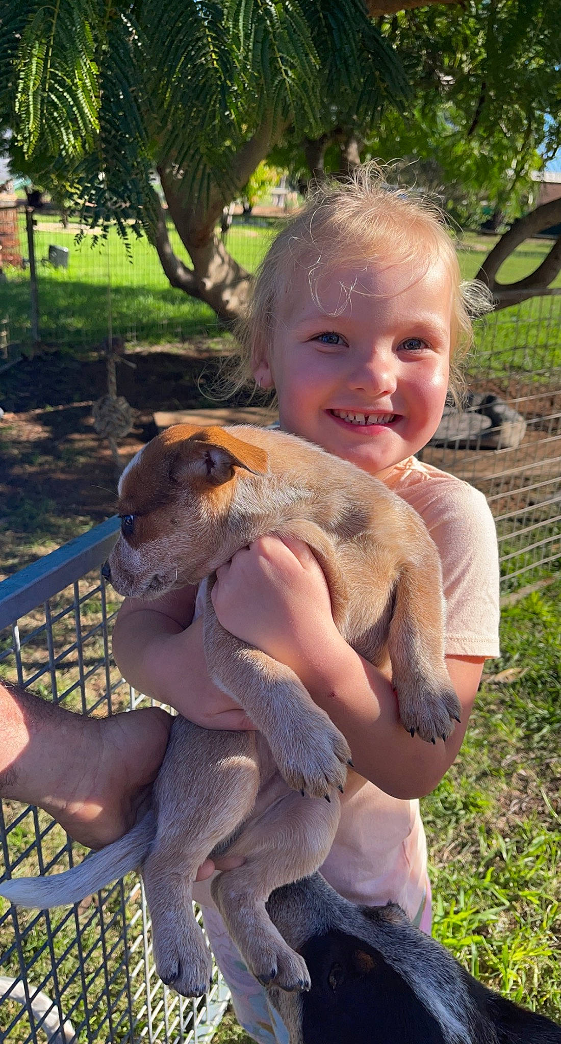 Maddi is registered to the contest to win money with this photo: barn_owl, child, companion_dog, fawn, fur, grass, joy, leisure, mammal, person, plant, python, reptile, sitting, smile, tail, terrestrial_animal, toddler, tree, vertebrate