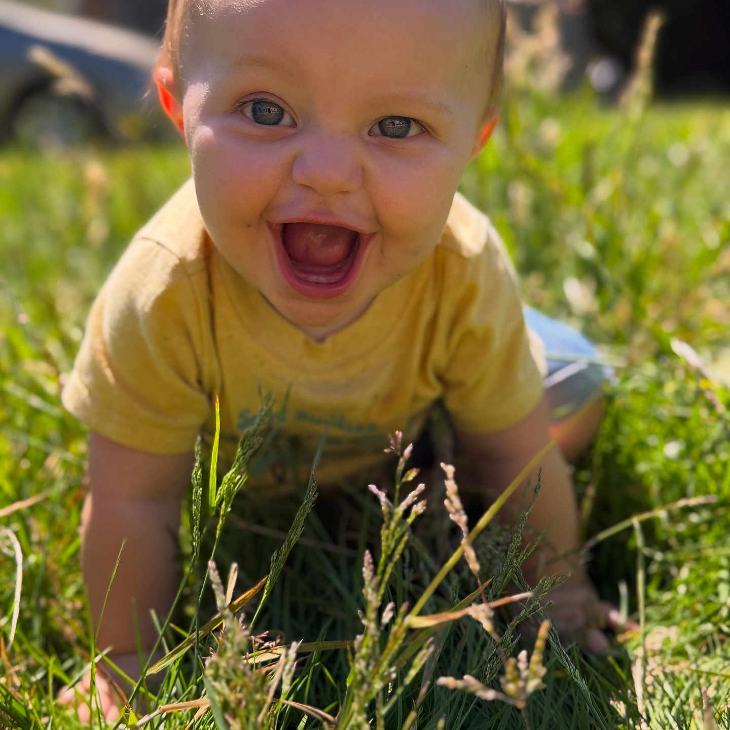 Wylder joined the competition — help win amazing prizes! baby, child, grass, outdoor, sunlight, smiling, happy, cute, crawling, greenery, nature, yellow_shirt, person, head, face, skin, eyes, mouth, daylight, playful