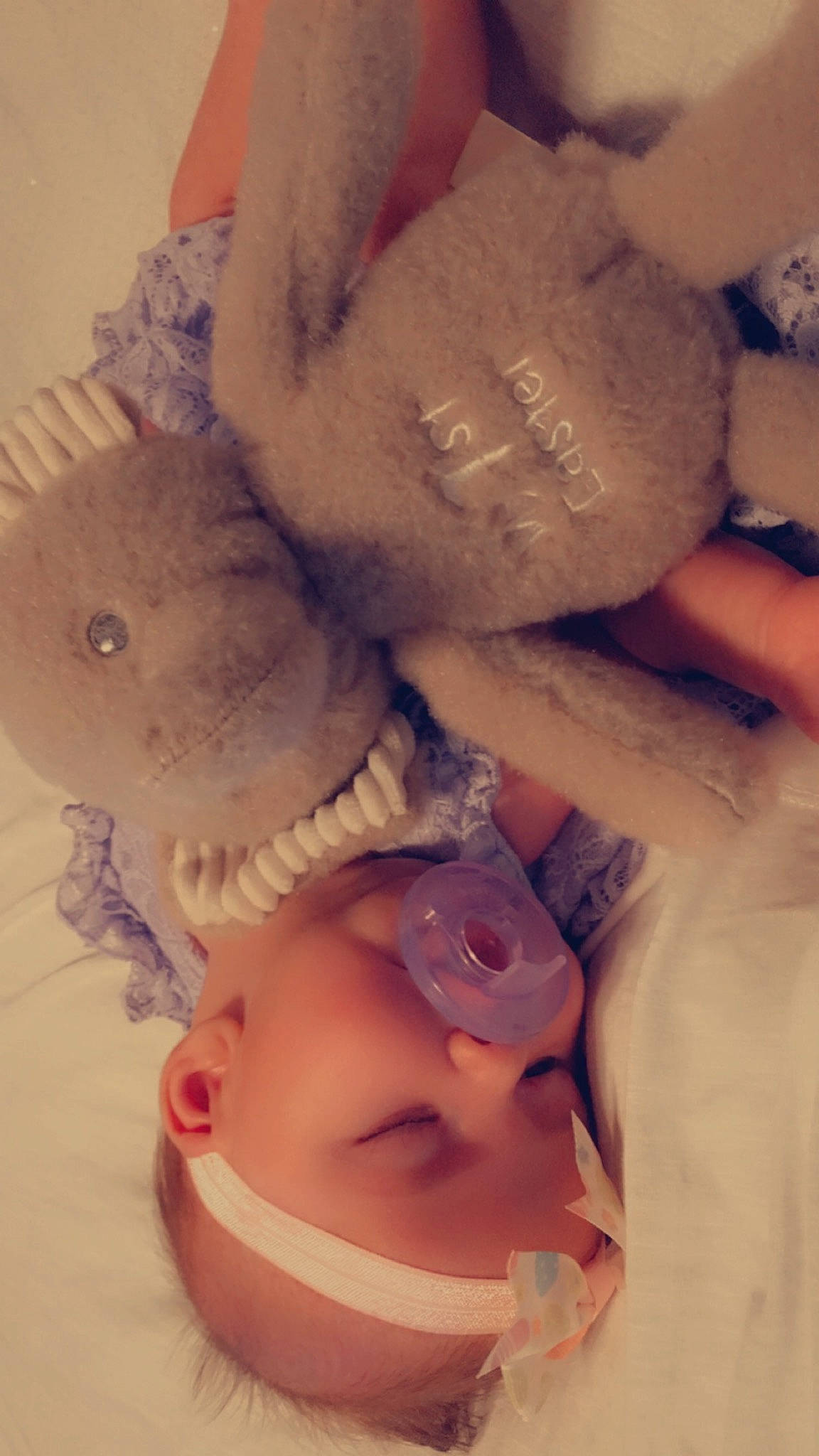 Lacey is registered to the contest to win money with this photo: baby, baby_sleeping, baby_toddler_clothing, child, eyelash, fashion_accessory, flesh, font, gesture, happy, headgear, headwear, love, mouth, nail, person, pink, skin, stuffed_toy, sweetness