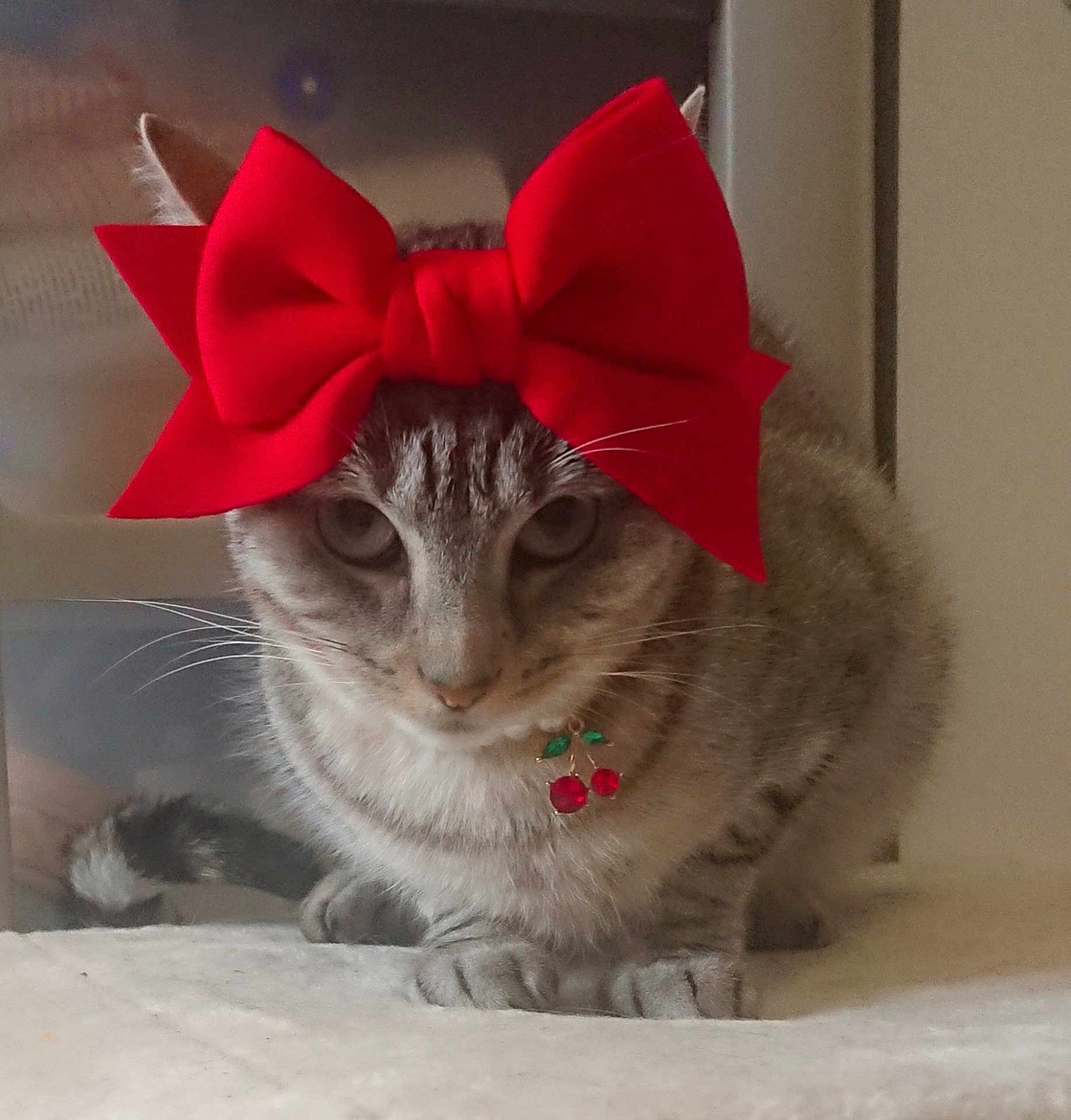 Tina