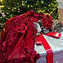 Tina participe au concours pour gagner de l'argent avec cette photo : animal, cat, celebration, christmas_decor, christmas_tree, cute, decorations, dress, festive, gift_box, holiday, holiday_lights, indoor, pet, red_dress, relaxing, ribbon, sleeping_cat, tabby_cat, wrapped_present
