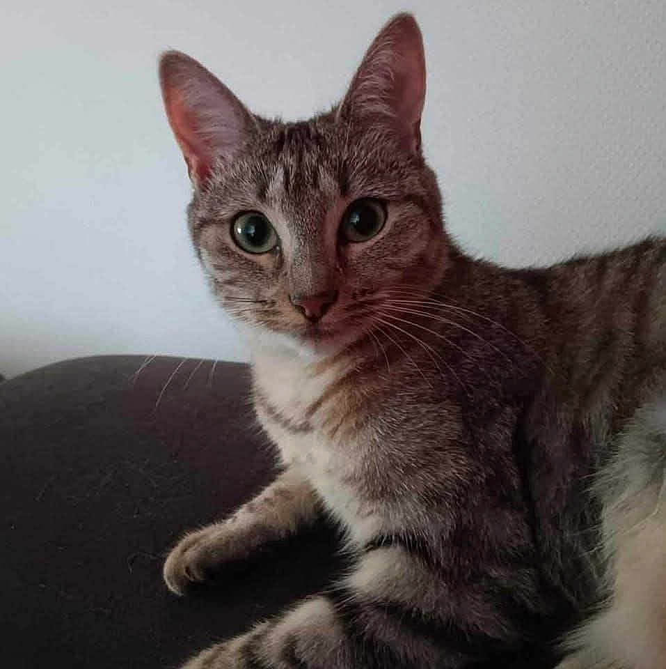 Tina