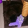 Lilith participe au concours pour gagner de l'argent avec cette photo : animal, black_cat, cat, cozy, curled_up, feline, floor, fur, indoor, mat, pet, plush_toy, purple_toy, quiet, resting, rope, scratching_post, sleep_mask, sleeping_cat_toy, toy