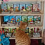 Abygaelle participe au concours pour gagner de l'argent avec cette photo : cat, orange_tabby, green_collar, wooden_shelf, children_books, animal_figures, plush_toy, blue_bunny, indoor, sitting, curious, book_display, colorful, toy_collection, feline, mat, decor, pet, home, reading_area
