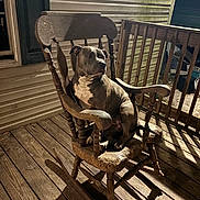 Luna is registered to the contest to win money with this photo: dog, rocking_chair, porch, wooden_floor, night, shadow, light, wooden_railing, house_siding, pet, animal, sitting, brown_dog, white_chest, outdoor, quiet, peaceful, calm, looking_away, vintage_furniture