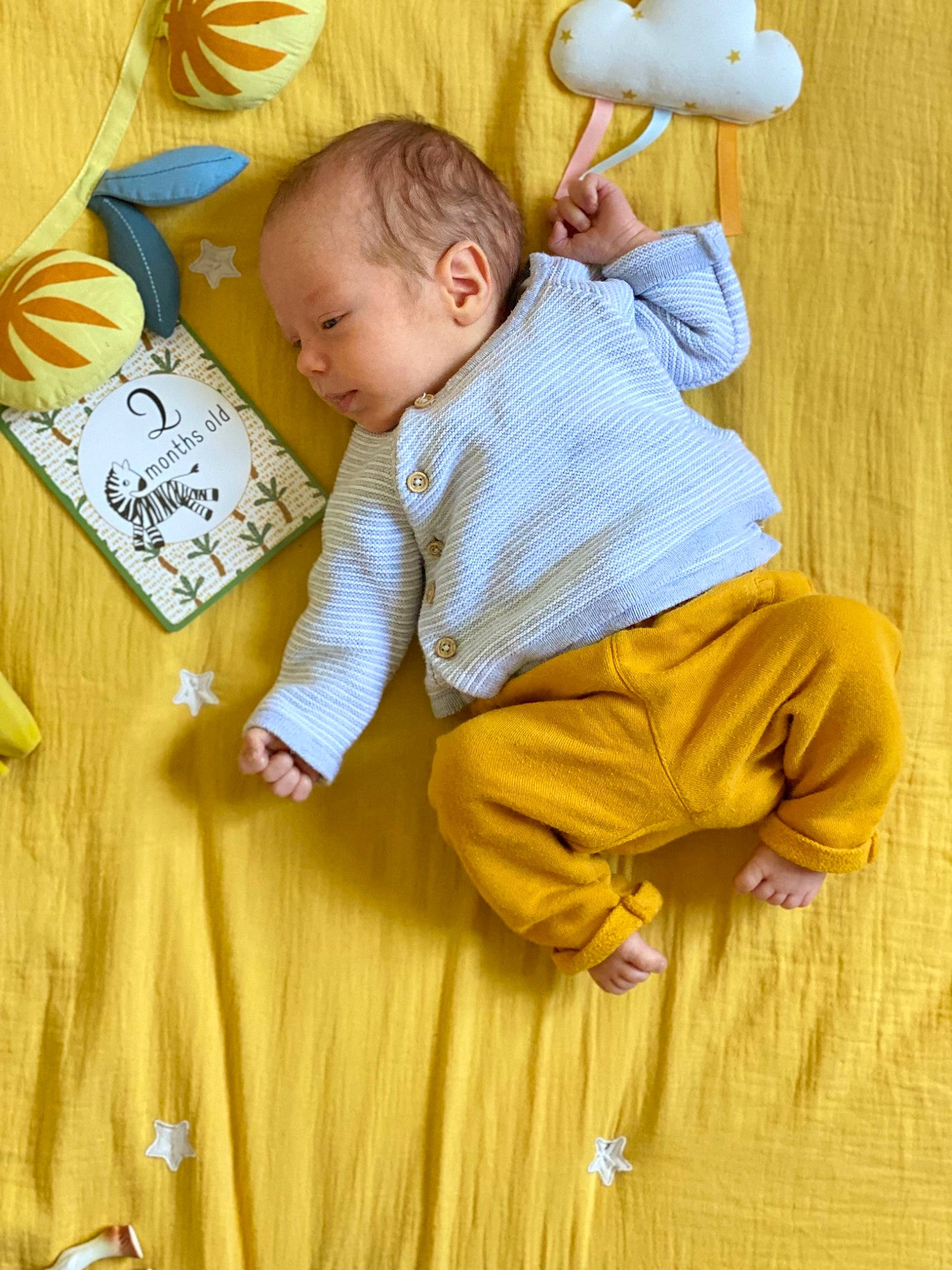 Basil a rejoint le concours — aidez-le/la à gagner de superbes lots ! baby, baby_toddler_clothing, child, finger, flooring, fun, hair, hairstyle, handwriting, happy, head, orange, people, person, photograph, product, sleeve, standing, toddler, wood