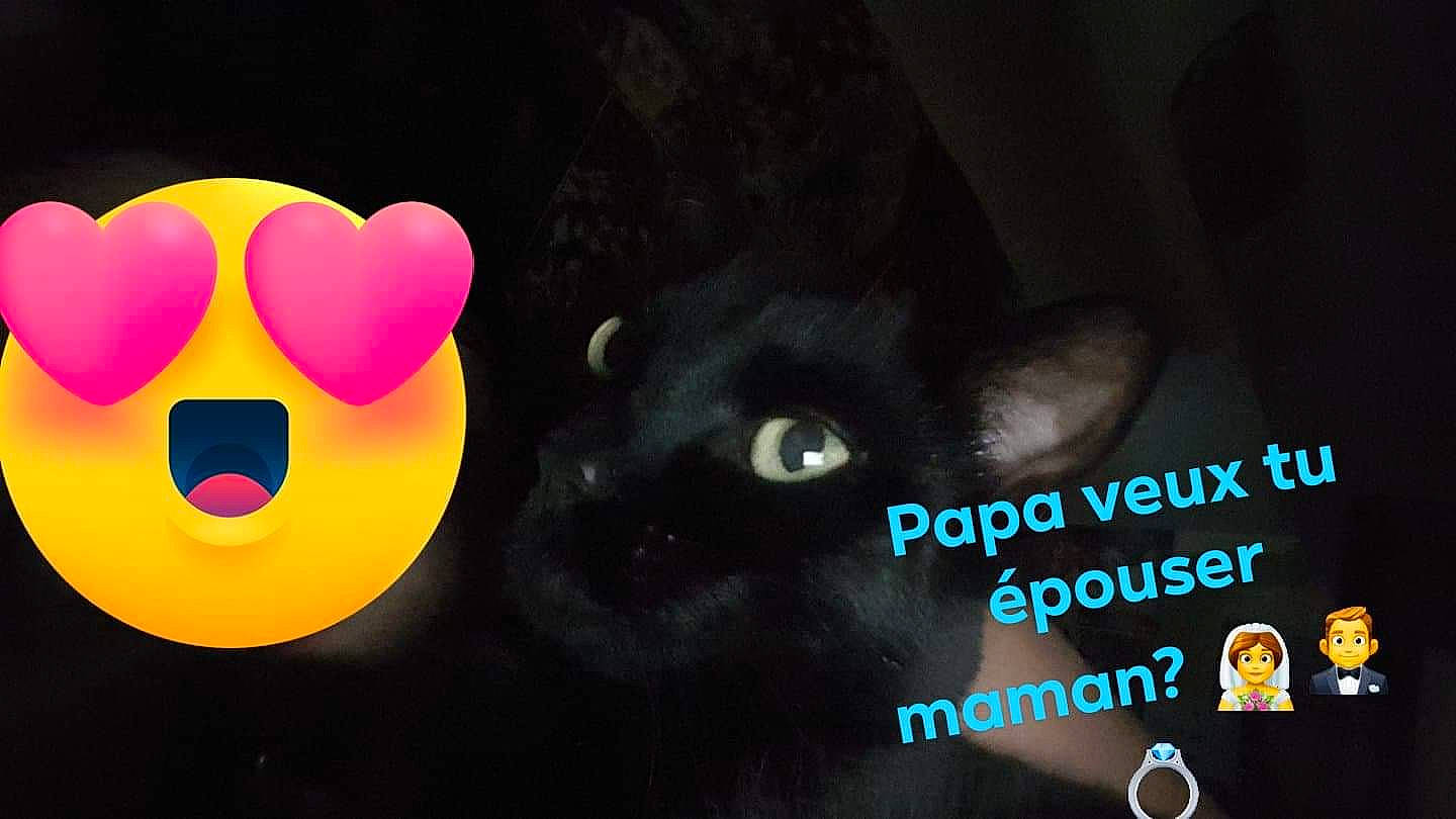 Junior participe au concours pour gagner de l'argent avec cette photo : font, graphic_design, graphics, heart, logo, photo_caption, text