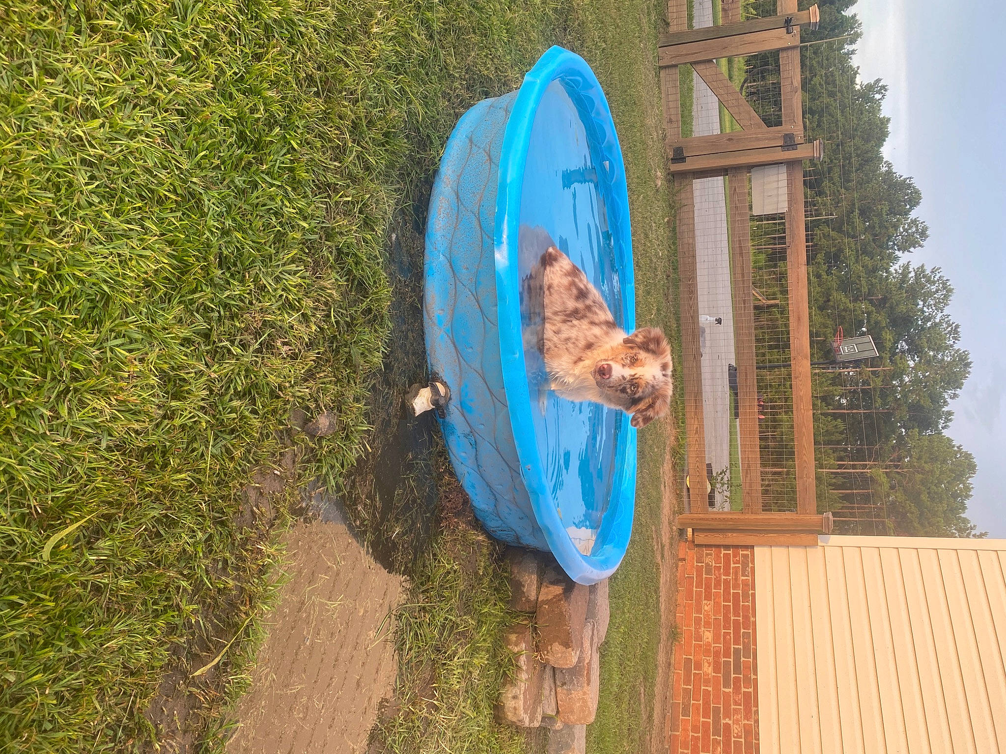 Sadie is registered to the contest to win money with this photo: automotive_wheel_system, boat, boats_and_boating_equipment_and_supplies, canoe, electric_blue, landscape, leisure, motor_vehicle, plant, recreation, skiff, sky, soil, surfboard, tree, trunk, vehicle, watercraft, wheel, wood