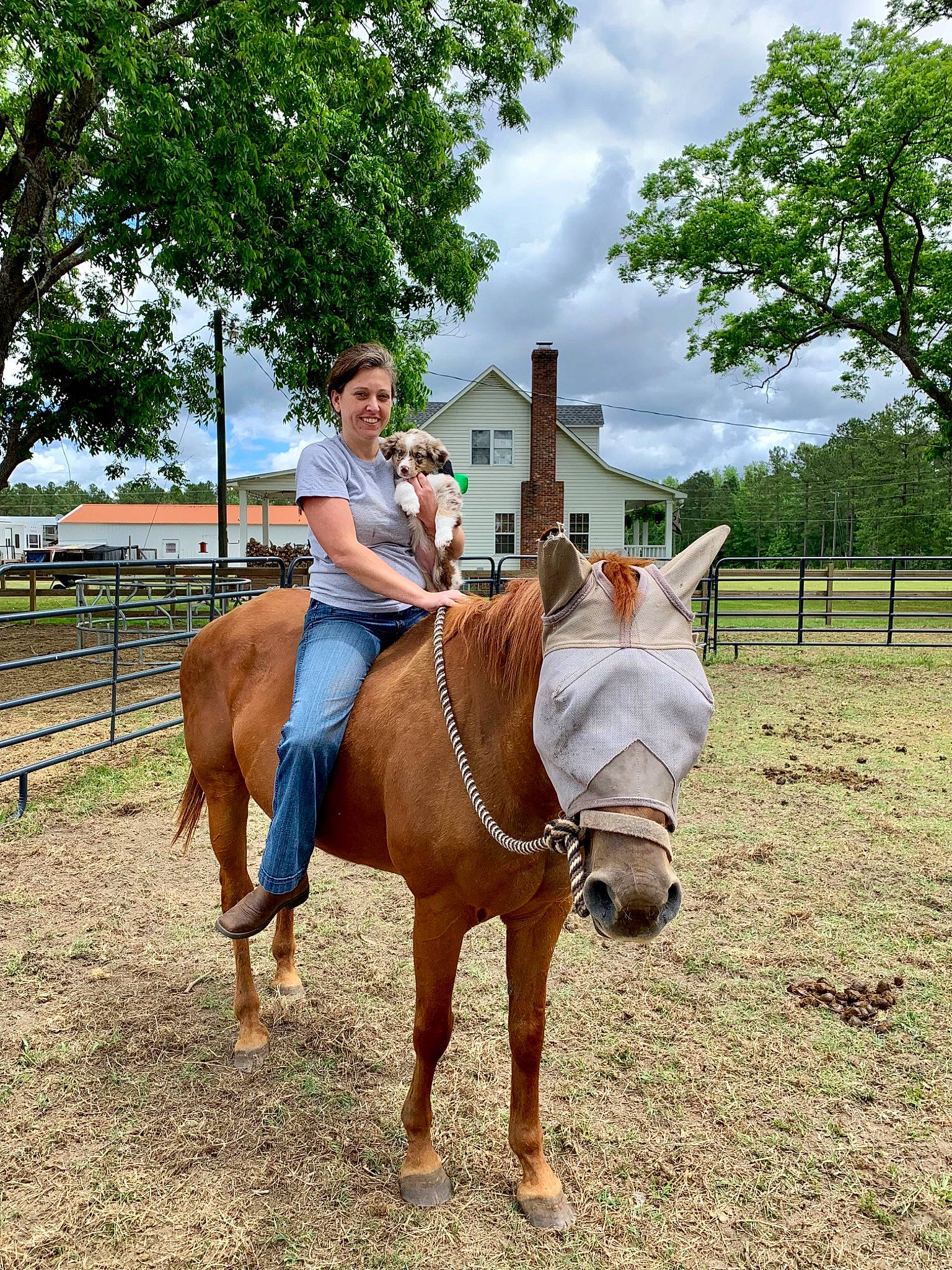 Sadie is registered to the contest to win money with this photo: bit, bridle, cloud, equestrian_sport, equestrianism, halter, horse, horse_supplies, horse_tack, mane, pack_animal, plant, rein, saddle, sky, sorrel, tree, vertebrate, western_riding, working_animal