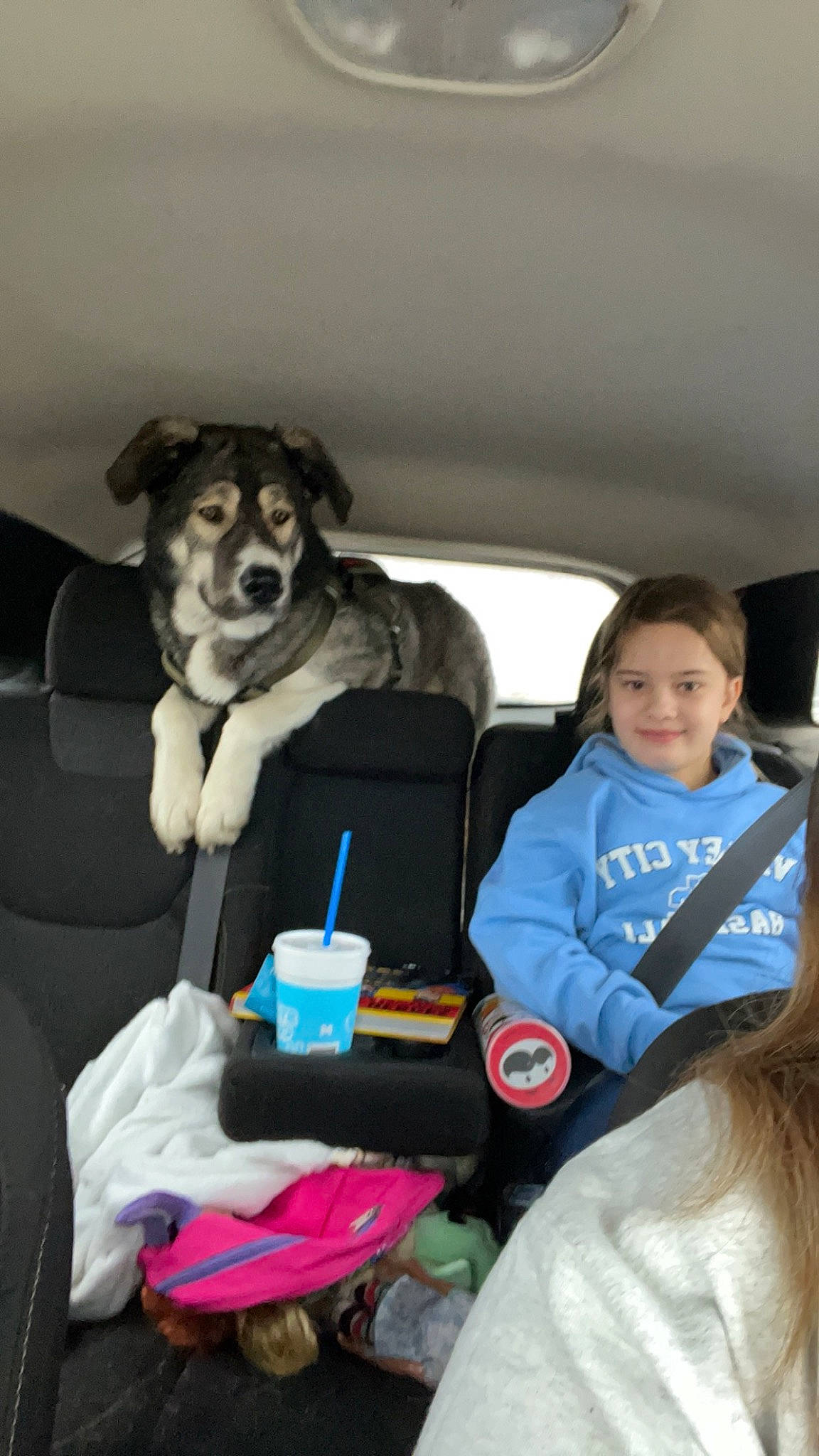 Kronk is registered to the contest to win money with this photo: car_seat, car_seat_cover, carnivore, child, comfort, companion_dog, couch, dog, fun, fur, lap, leisure, passenger, recreation, room, sitting, smile, steering_wheel, toddler, travel