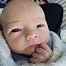 baby, baby_clothing, blanket, bundled, child, close_up, cozy, eyes, face, family_photo, finger, fist, hand, indoor, infant, looking_at_camera, lying_down, newborn, portrait, soft_lighting