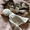 animal, bed, blanket, bunny, calico, cat, cozy, cuddling, cute, floppy_toy, furry, indoors, kitten, lying_down, pet, portrait, soft_texture, stuffed_animal, whiskers, wide_eyes