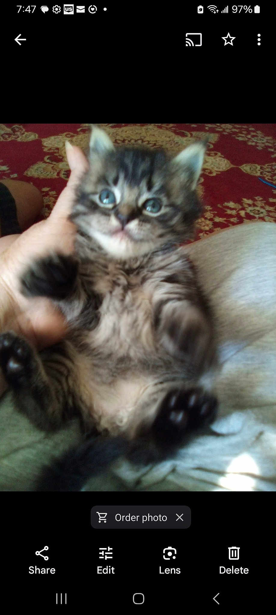 Sweet Pea
