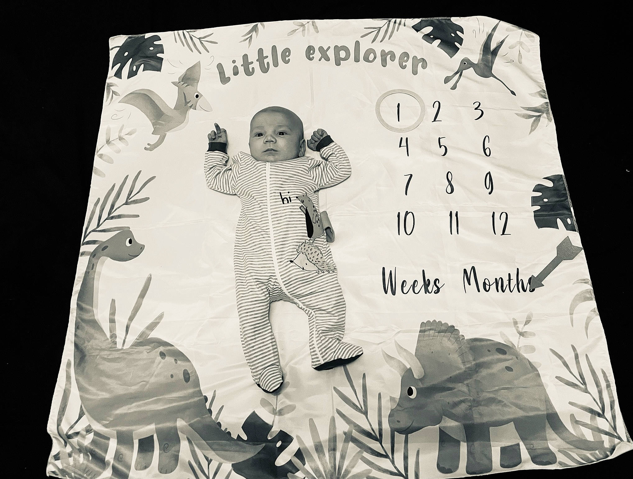 Xayvier is registered to the contest to win money with this photo: art, black_and_white, event, font, gesture, happy, illustration, linens, monochrome, monochrome_photography, organism, paper, paper_product, pattern, person, rectangle, room, sleeve, style, textile