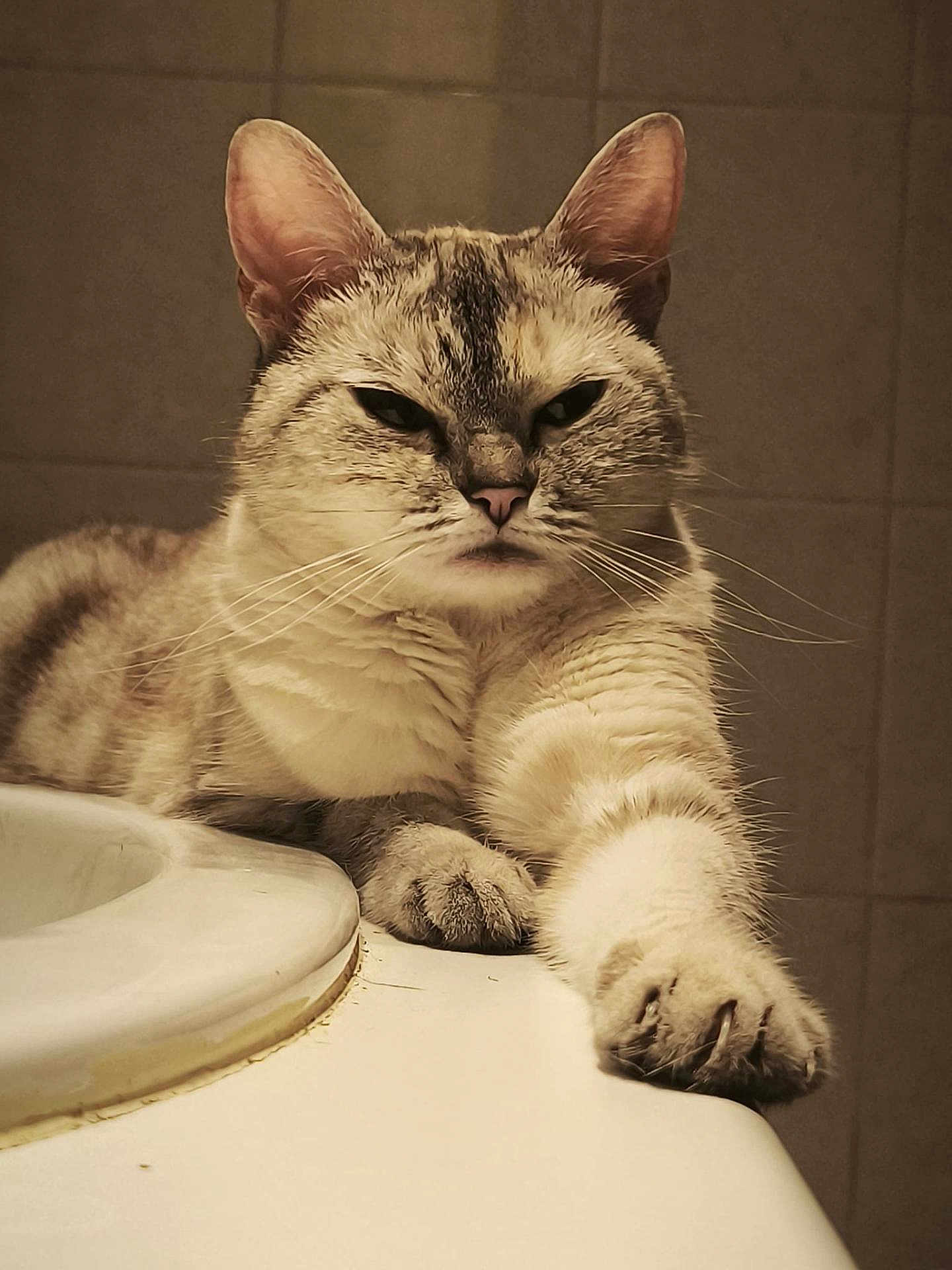 Niki