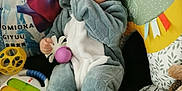 Arès a rejoint le concours — aidez-le/la à gagner de superbes lots ! baby, child, dinosaur_onesie, plush_toy, colorful_toys, crib, pillow, cute, indoor, soft_toys, playtime, smiling, hand_in_mouth, infant, stuffed_animal, floor_mat, cozy, comfort, young_child, playroom