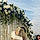 Arshi S.