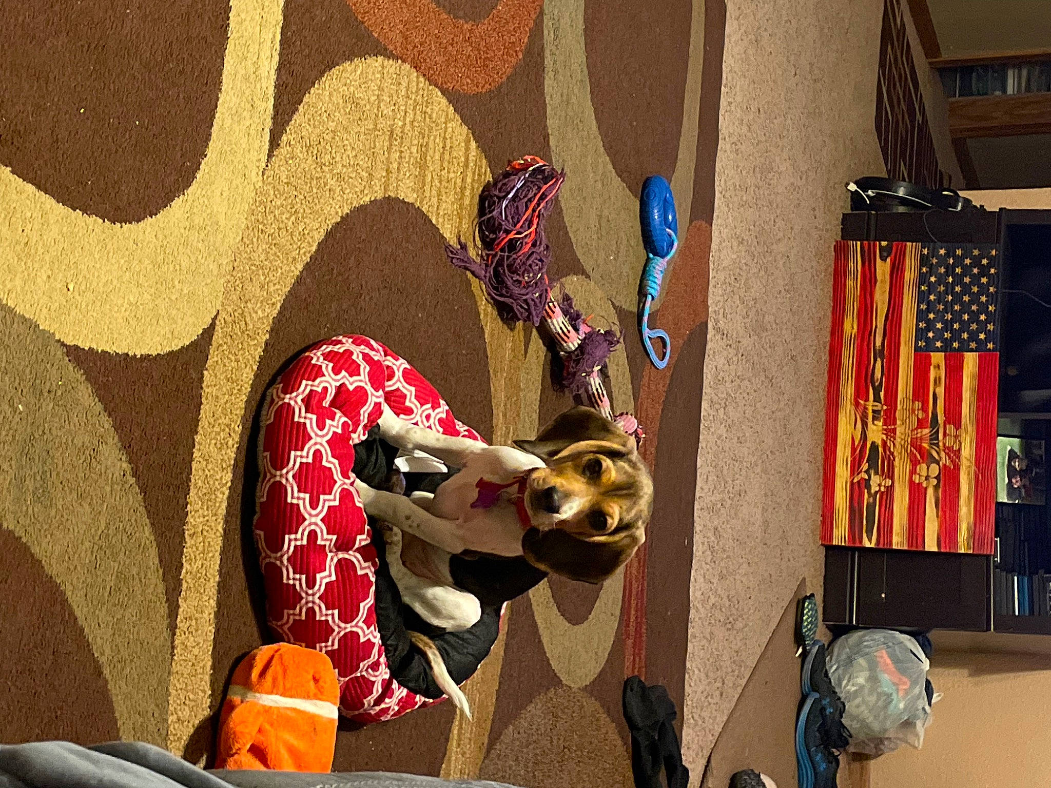 Dakota joined the competition — help win amazing prizes! art, artist, drawing, drum, fashion_accessory, fiction, flooring, glass, illustration, mechanical_fan, modern_art, mural, musical_instrument, mythology, painting, pattern, room, visual_arts