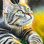 cat, tabby_cat, pastel_drawing, animal, close_up, portrait, whiskers, fur, green_eyes, sunlight, nature, outdoor, artwork, detailed, colorful, soft_texture, animal_face, pet, cute, relaxing