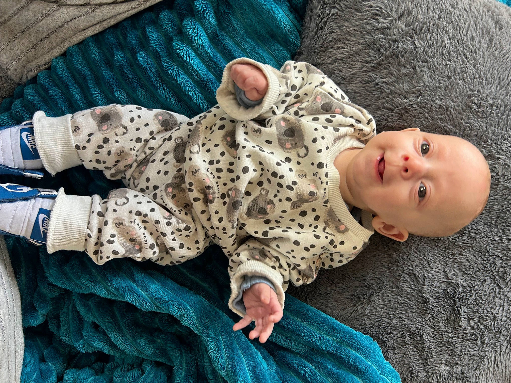 Hendrix joined the competition — help win amazing prizes! baby, baby_toddler_clothing, blue, child, comfort, fur, grass, hairstyle, human, human_body, human_leg, linens, pattern, person, sitting, skin, sleeve, sunglasses, toddler, tree
