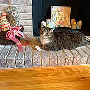 Milo joined the competition — help win amazing prizes! cat, tabby_cat, pet, animal, fireplace, brick, mantel, easter, holiday, decorations, pastel_eggs, easter_sign, basket, pink_ribbon, indoors, home, wood_floor, lying_down, portrait, whiskers