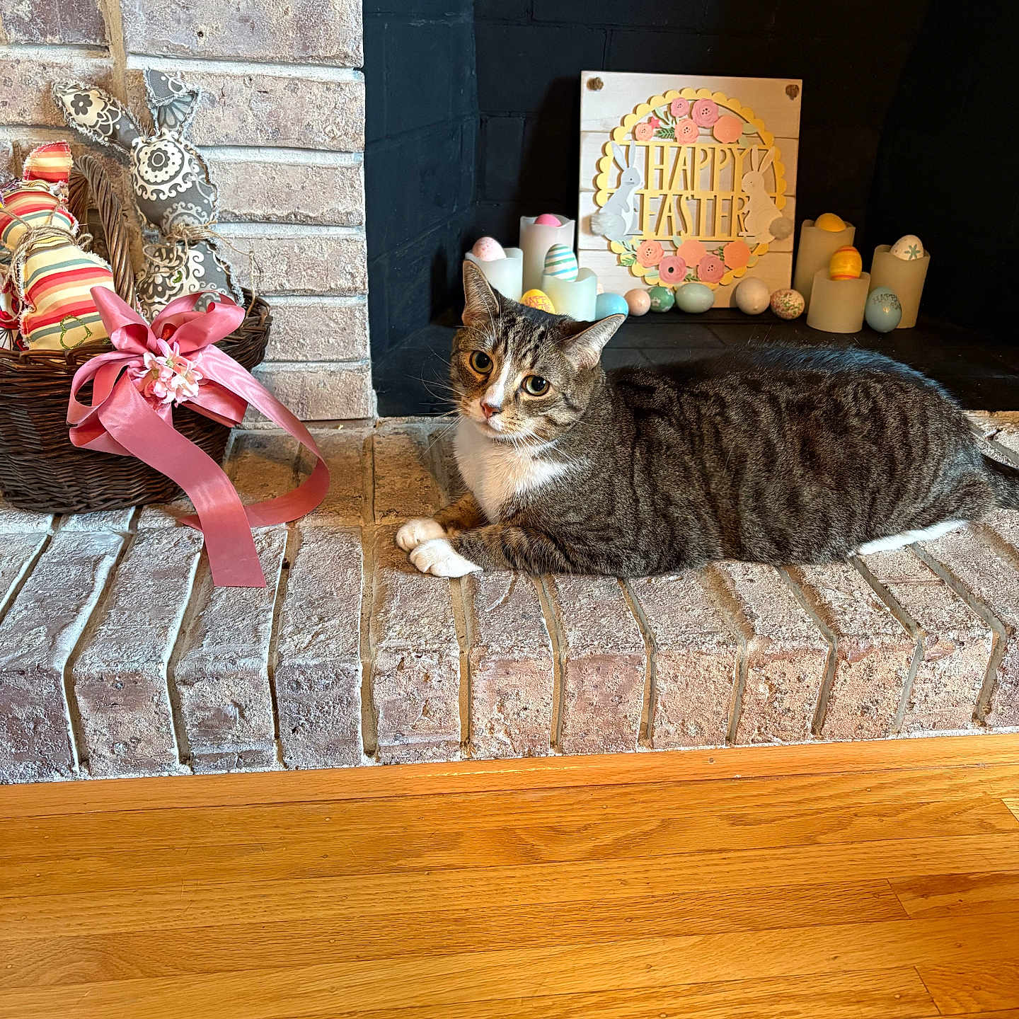 Milo