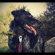 Tao is registered to the contest to win money with this photo: