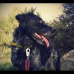 Tao is registered to the contest to win money with this photo: