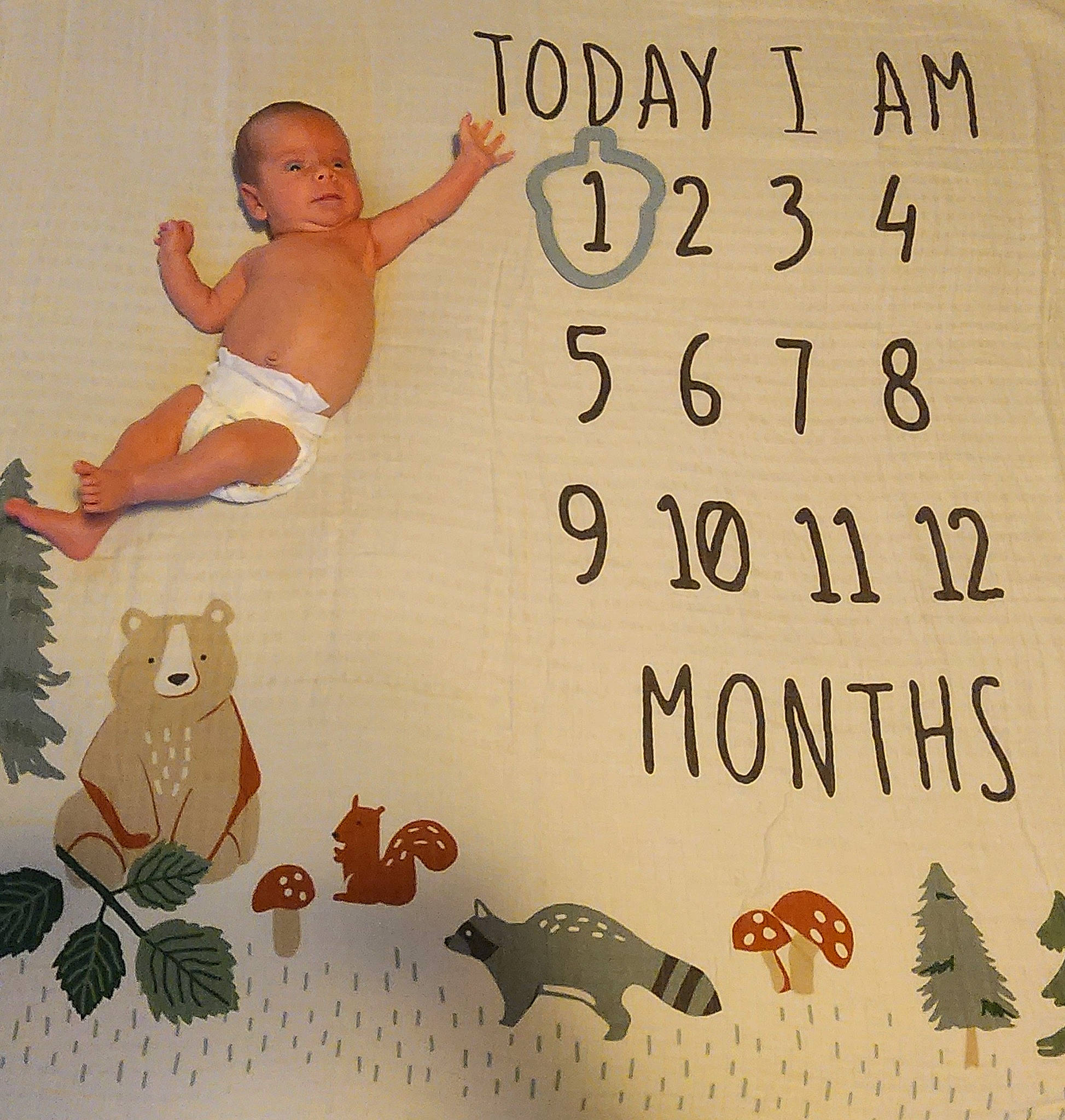 Christopher joined the competition — help win amazing prizes! adaptation, art, butterfly, design, elbow, fin, fish, font, happy, illustration, mammal, organism, pattern, person, photo_caption, tail, terrestrial_animal, toddler, vertebrate, visual_arts