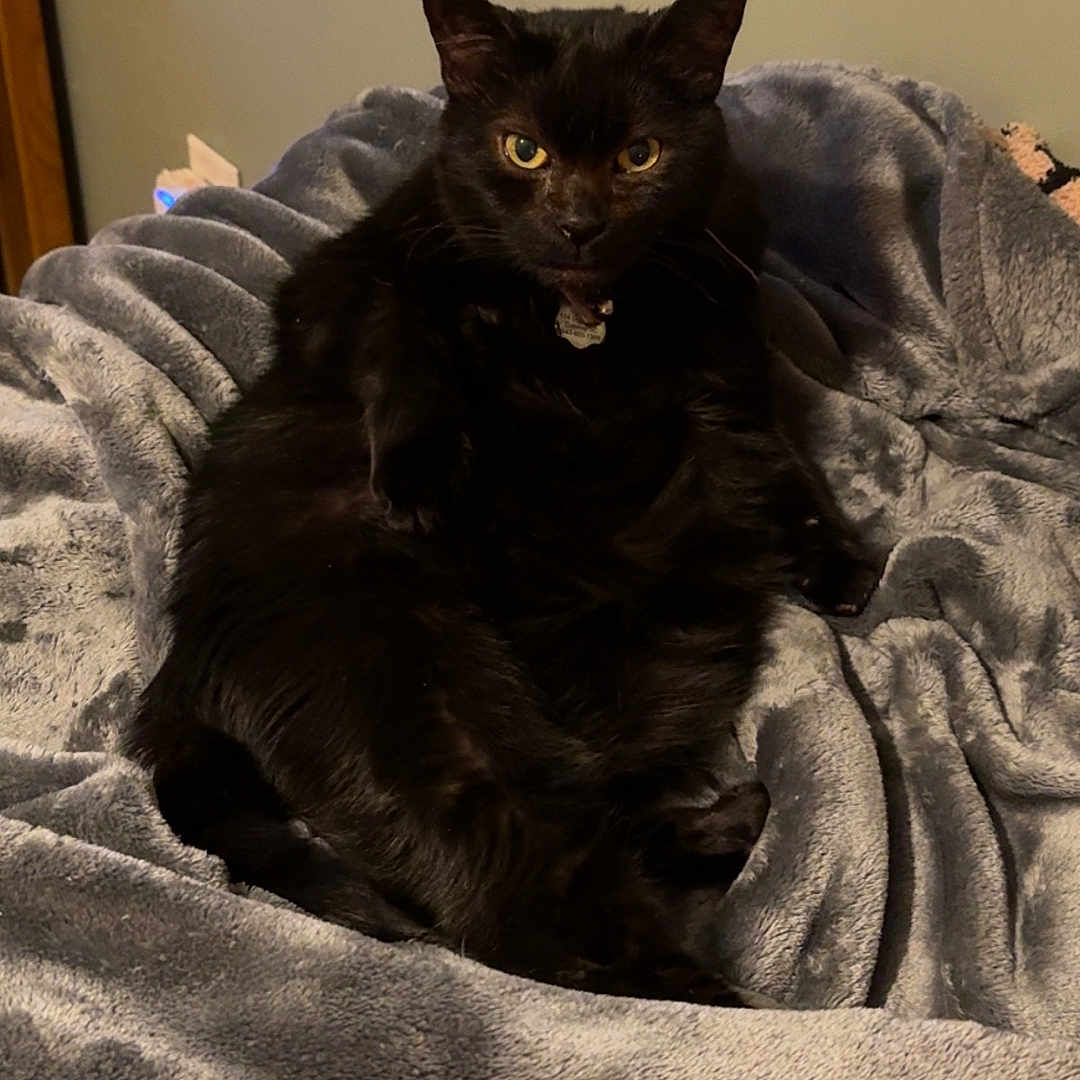 Salem