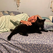 Salem joined the competition — help win amazing prizes! elderly_woman, black_cat, bed, pillow, floral_bedspread, indoor, pet, animal, human, resting, comfort, cozy, wall_decor, blanket, table, lamp, nightstand, casual_clothing, relaxation, domestic