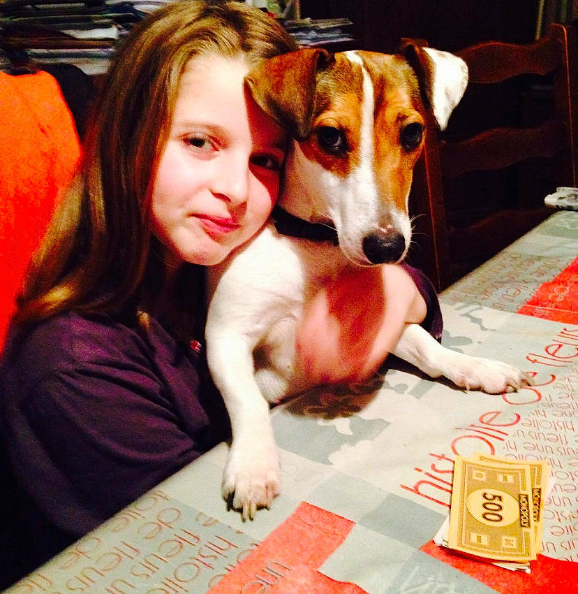 Ilona participe au concours pour gagner de l'argent avec cette photo : canidae, carnivore, companion_dog, dog, dog_breed, fox_terrier, jack_russell_terrier, mammal, parson_russell_terrier, russell_terrier, smooth_fox_terrier, vertebrate