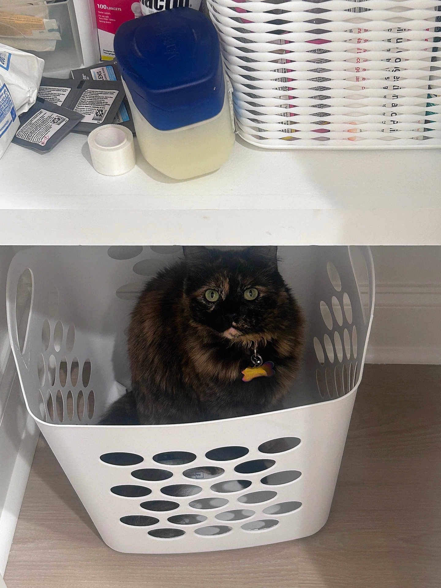 Vanessa is registered to the contest to win money with this photo: cat, tortoiseshell, laundry_basket, indoor, pet, feline, green_eyes, curious, fur, collar, tag, floor, desk, household_items, container, domestic, cute, animal, resting, cozy