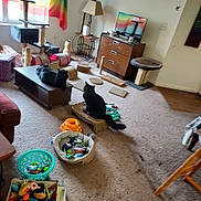 Salem And Popo joined the competition — help win amazing prizes! animal, architecture, building, cabinet, cat, computerhardware, couch, electronics, furniture, hardware, homedecor, indoors, interiordesign, livingroom, monitor, pet, room, screen, table, tv