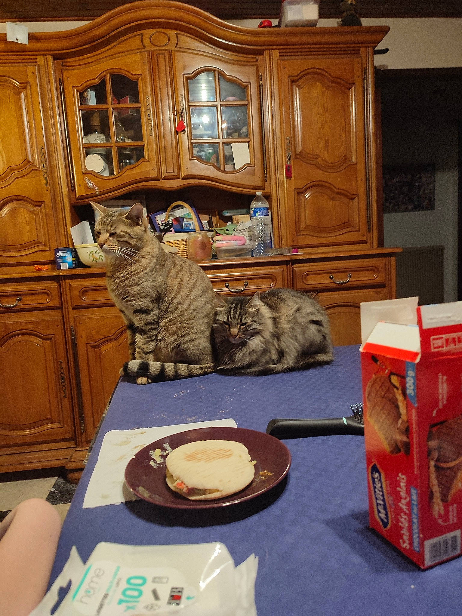 Choupi participe au concours pour gagner de l'argent avec cette photo : cabinetry, carnivore, cat, cupboard, door, drawer, felidae, floor, flooring, food, hardwood, interior_design, kitchen, room, shelf, small_to_medium_sized_cats, table, vertebrate, wood, wood_stain