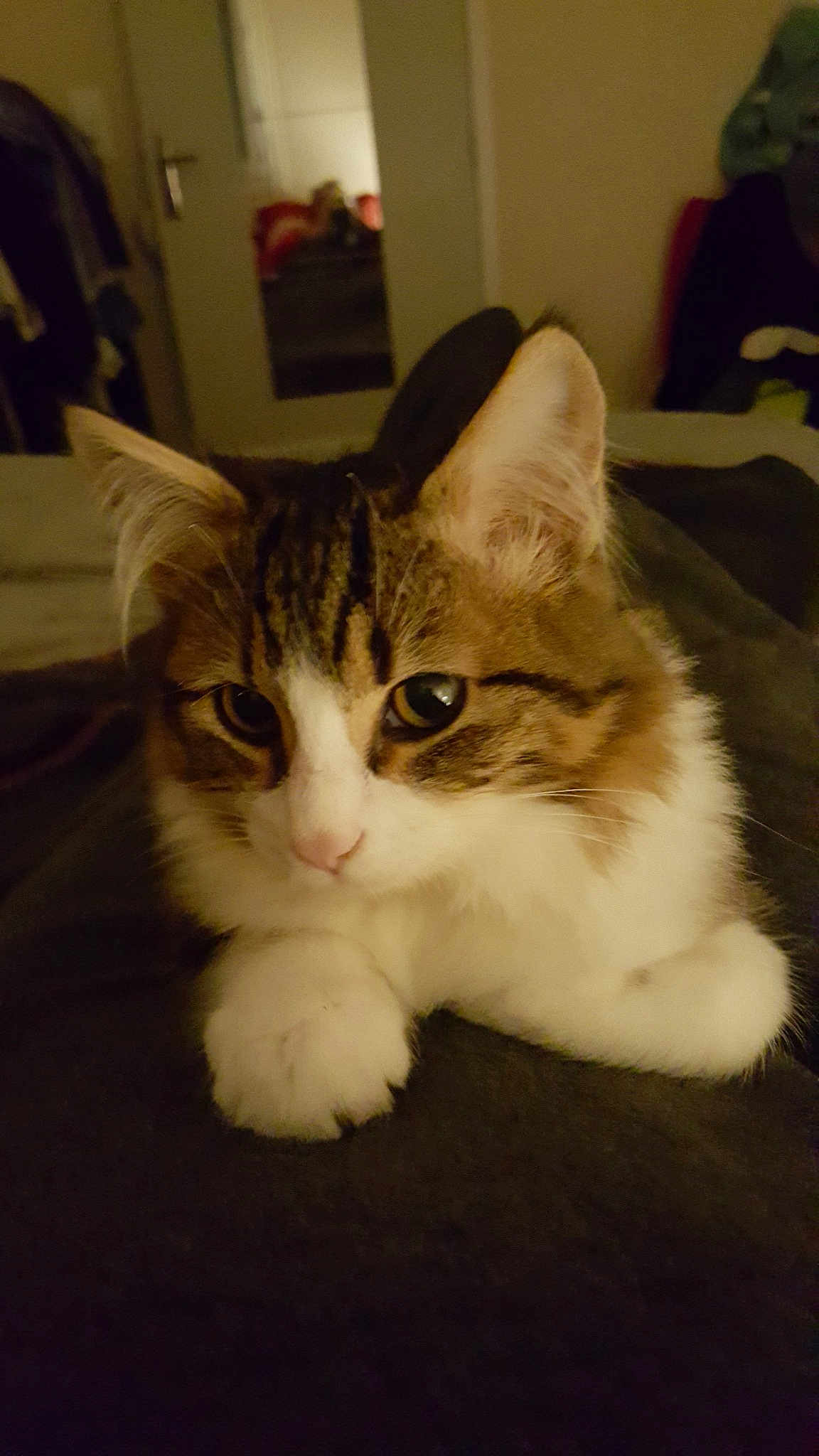Elliot