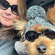 Rupert is registered to the contest to win money with this photo: woman, dog, sunglasses, hat, winter_clothing, gray, knit_hat, scarf, pet, cute, portrait, indoor, face, fashion, cozy, fluffy, animal, person, eyewear, companion