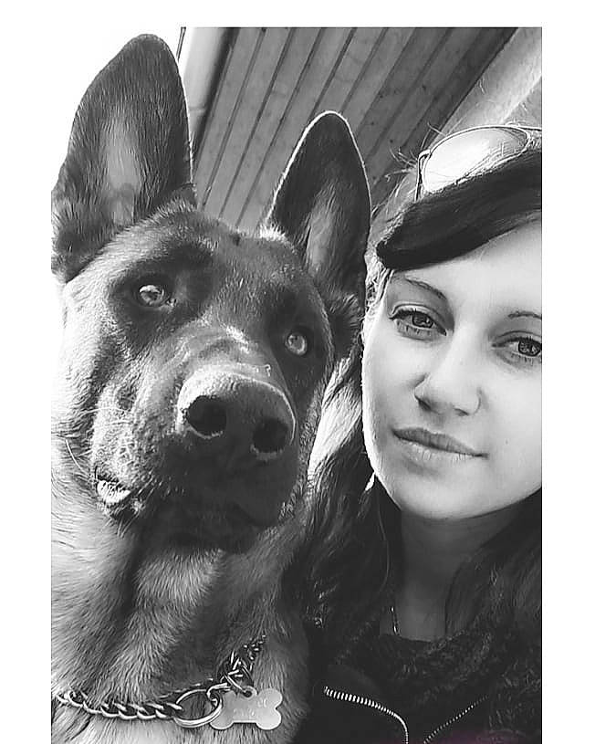 Pep'S participe au concours pour gagner de l'argent avec cette photo : black_and_white, canidae, carnivore, dog, dog_breed, drawing, ear, eye, german_shepherd_dog, head, king_shepherd, kunming_wolfdog, mammal, nose, photograph, photography, selfie, smile, snapshot, snout