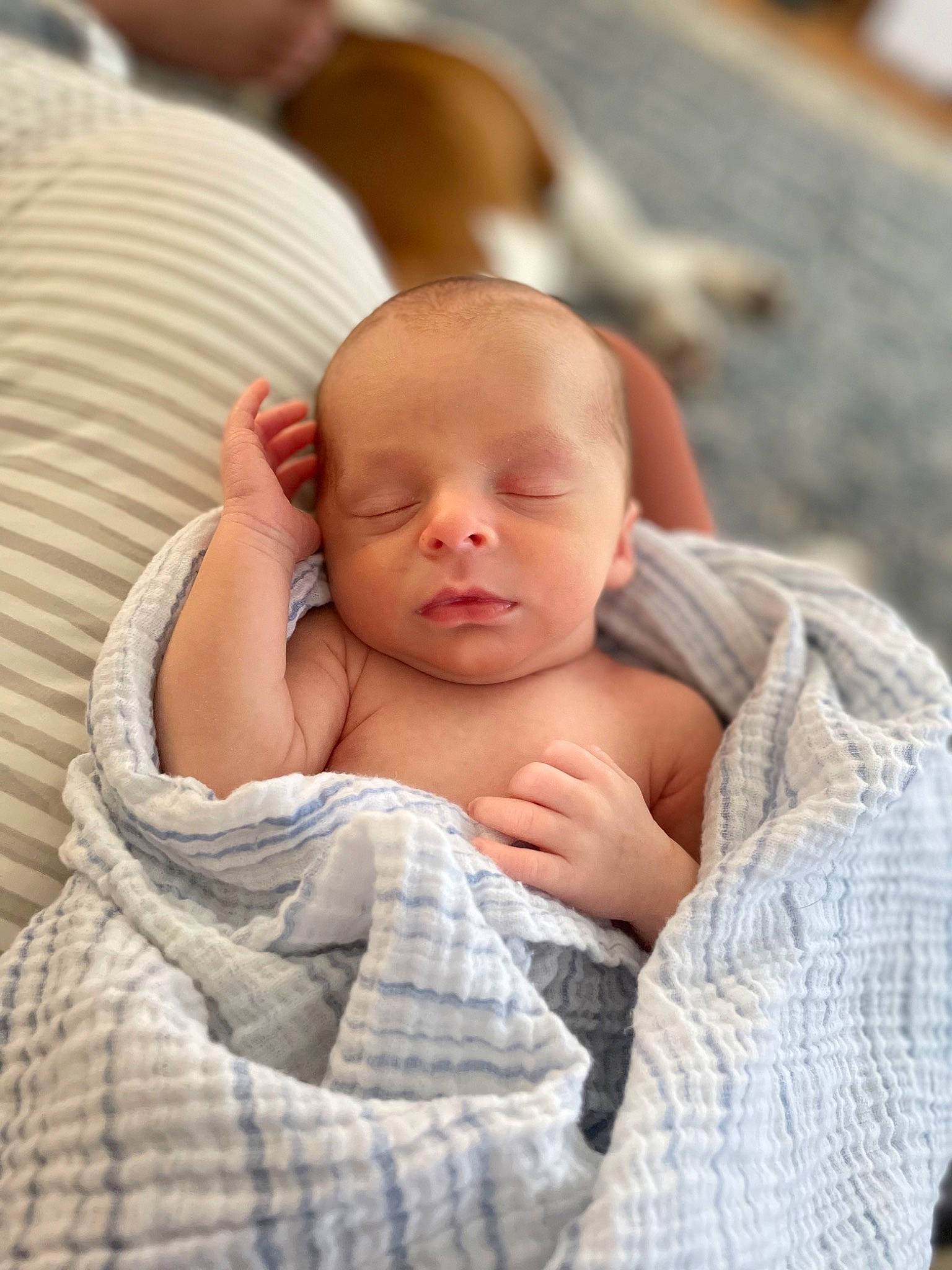 Calvin is registered to the contest to win money with this photo: baby, baby_toddler_clothing, cheek, child, comfort, finger, gesture, grass, happy, interaction, linens, lip, mouth, nose, pattern, person, portrait_photography, sitting, skin, sleeve