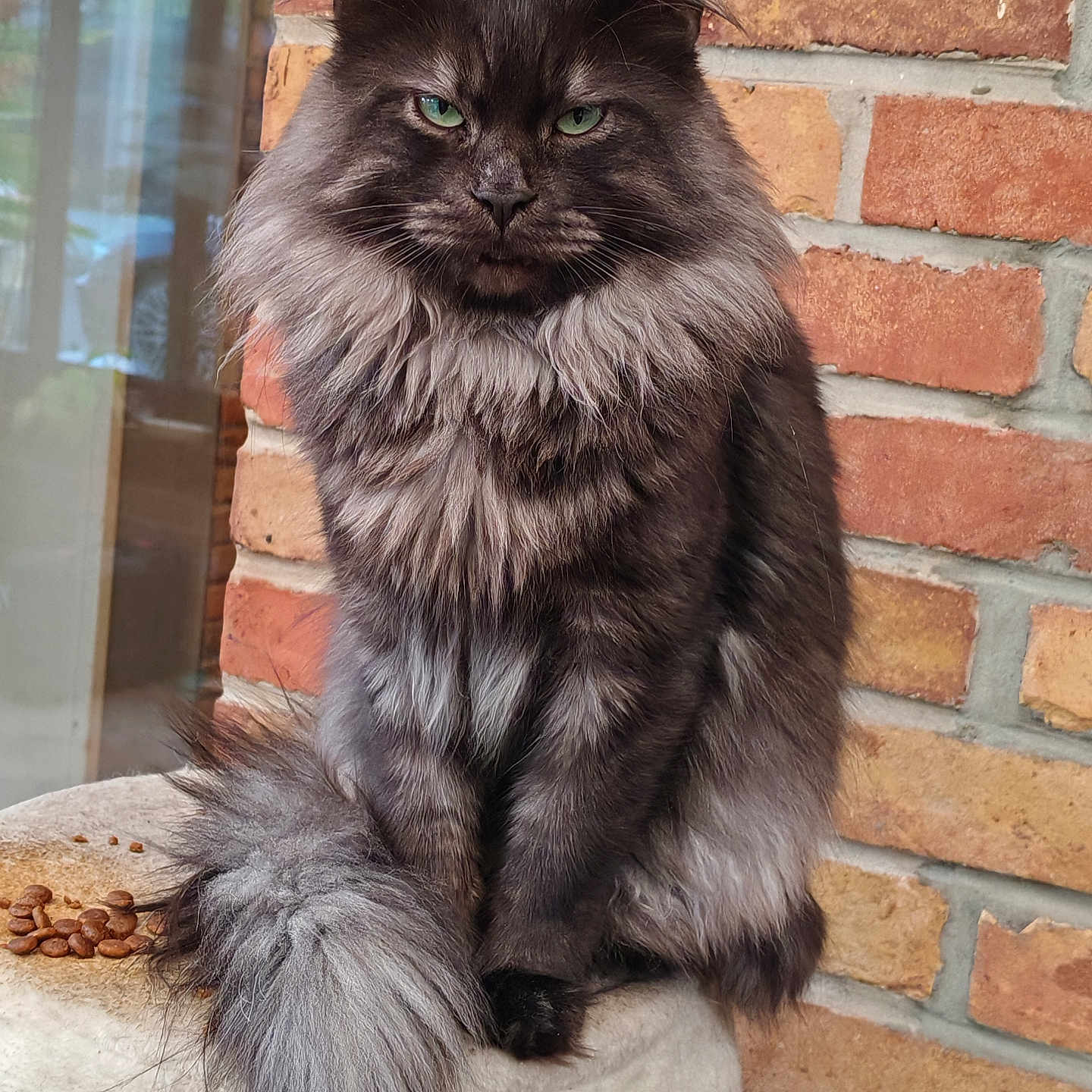 Zeus