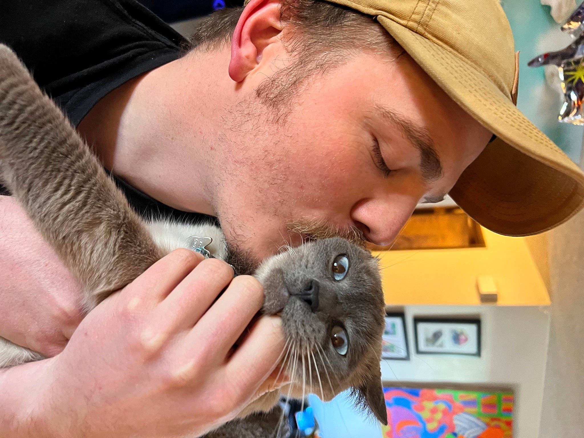 Totoro joined the competition — help win amazing prizes! baseball_cap, beard, cap, carnivore, dog_breed, ear, eyewear, facial_hair, fashion_accessory, fawn, felidae, finger, fur, hat, moustache, small_to_medium_sized_cats, snout, sun_hat, whiskers, wildlife_biologist