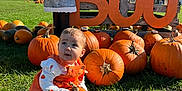 Isabella joined the competition — help win amazing prizes! baby, pumpkin, grass, orange, overalls, scarecrow, sign, boo, fall, autumn, outdoor, child, cute, festival, celebration, sunny, sky, green, decoration, holiday