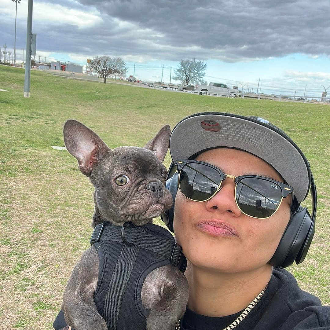 Cammi Sky is registered to the contest to win money with this photo: accessories, animal, bulldog, canine, dog, face, frenchbulldog, glasses, grass, head, jewelry, necklace, outdoors, person, pet, photography, plant, portrait, puppy, sunglasses