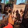 Armanda a rejoint le concours — aidez-le/la à gagner de superbes lots ! blanket, book, cat, cover, cozy, curious, furniture, hand, home, indoor, person, plant, reading, relaxing, siamese_cat, silhouette, soft_light, sweater, window, wood_floor