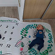 Alan participe au concours pour gagner de l'argent avec cette photo : baby, blanket, numbers, bunny, greenery, leaf, floor, wood, door, baby_clothing, thumb_sucking, indoor, child, cute, lying_down, blue_outfit, plaid_shirt, cozy, home, infant