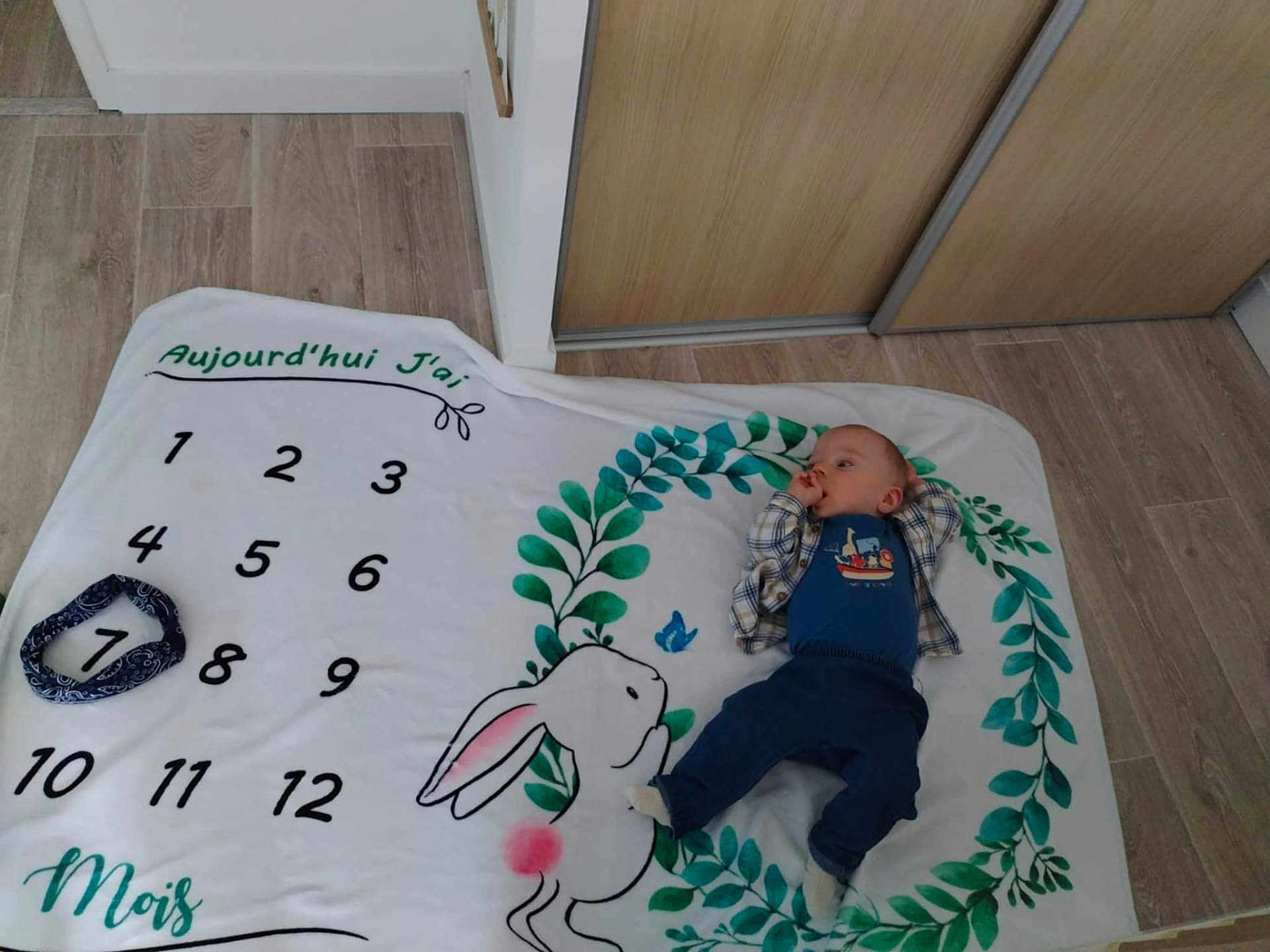 Alan participe au concours pour gagner de l'argent avec cette photo : baby, blanket, numbers, bunny, greenery, leaf, floor, wood, door, baby_clothing, thumb_sucking, indoor, child, cute, lying_down, blue_outfit, plaid_shirt, cozy, home, infant