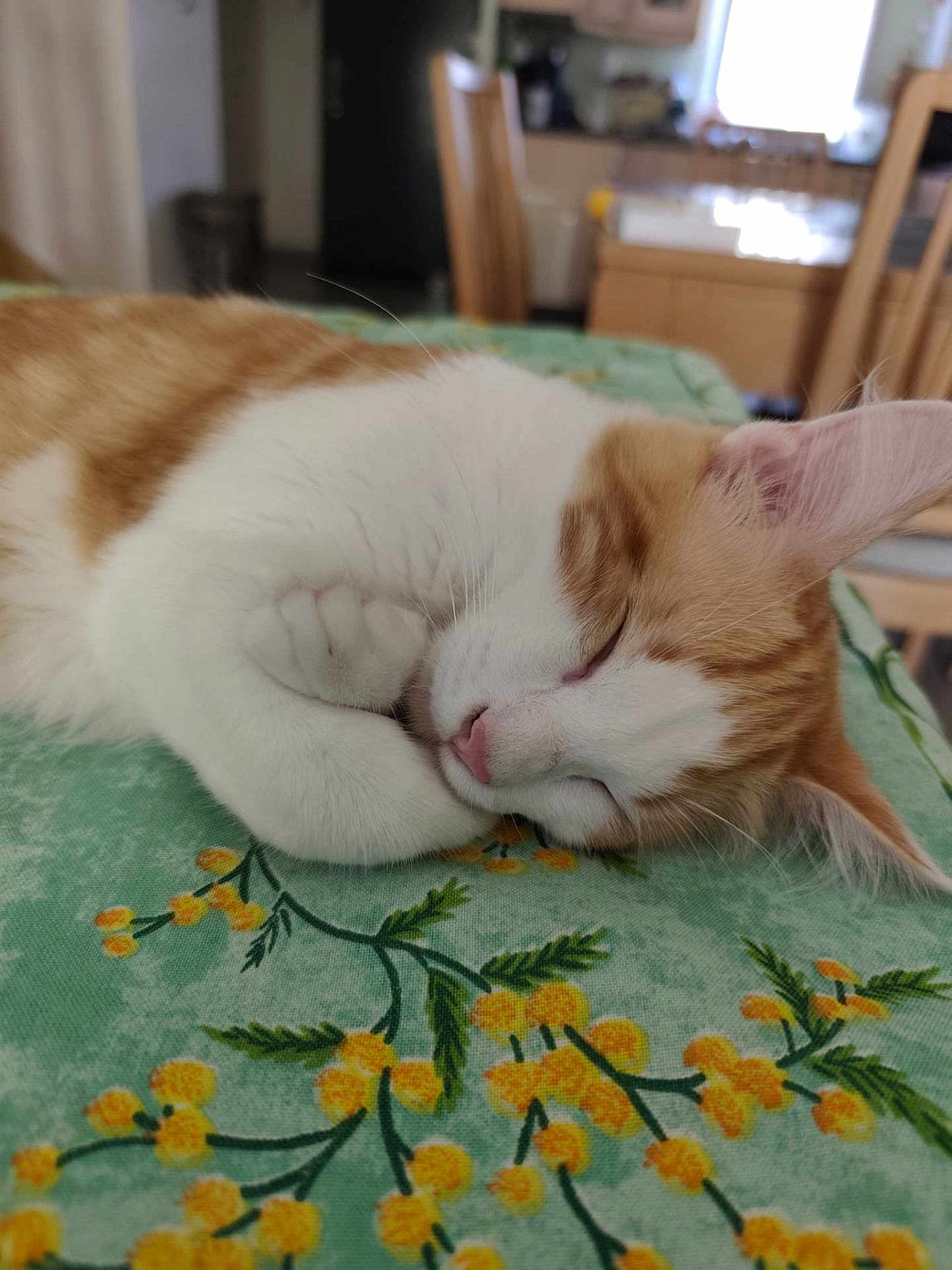 Aiko