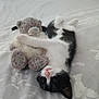 cat, kitten, stuffed_toy, teddy_bear, bed, bedding, blanket, furniture, wooden_drawer, indoor, black_and_white, pet, cute, sleepy, cuddle, toy, cozy, animal, resting, soft