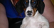 Tia participe au concours pour gagner de l'argent avec cette photo :