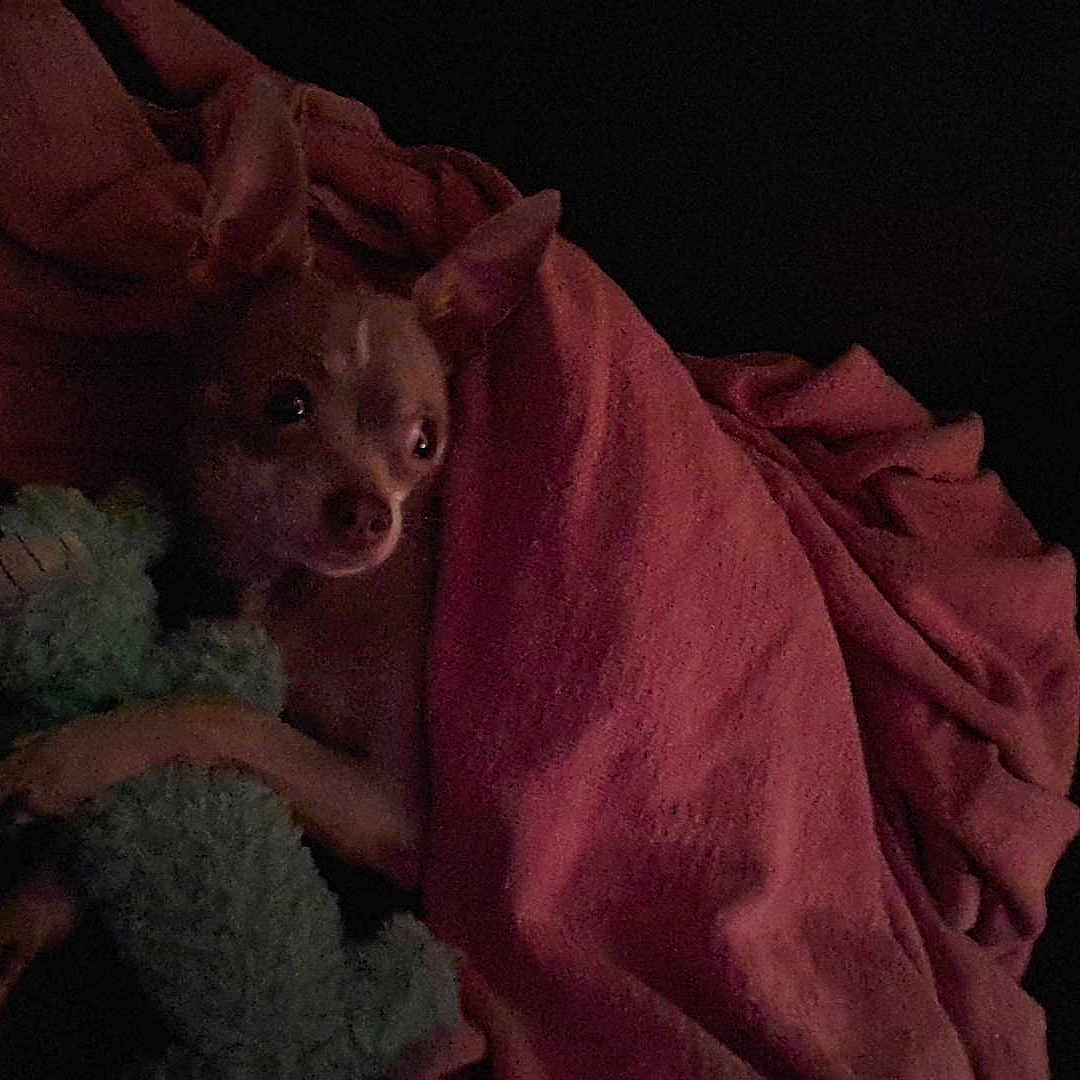 Prissy is registered to the contest to win money with this photo: